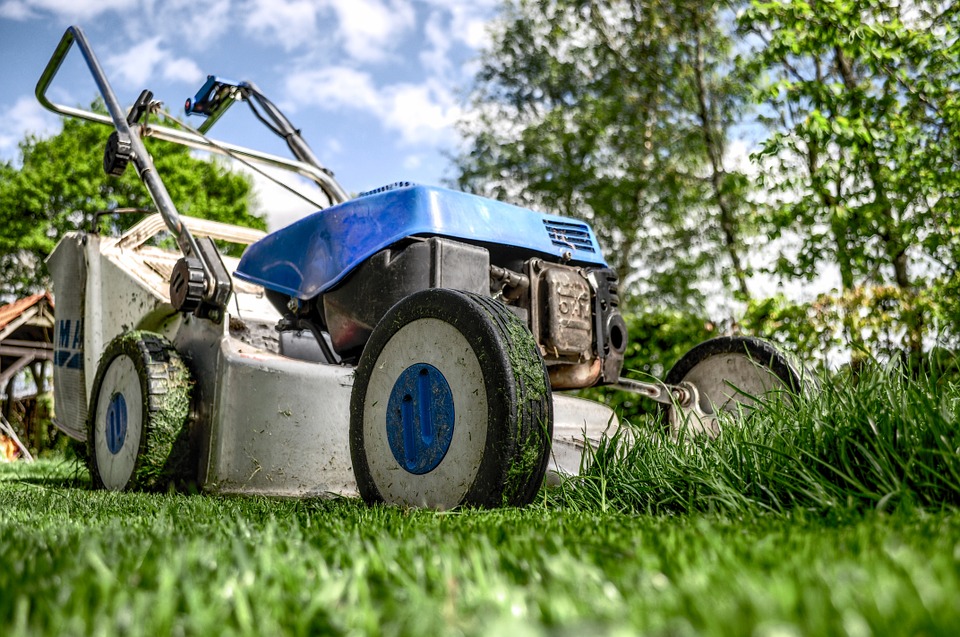 Faire le choix d’un chalet de jardin