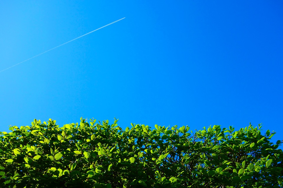 Installation de haie artificielle, comment s’y prendre ?