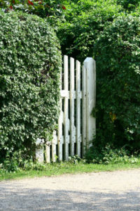 haie jardin