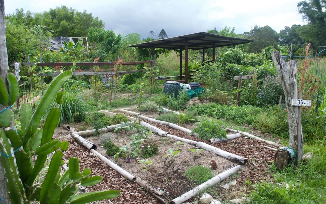 Les Techniques de Permaculture: Jardinez en Respectant la Nature