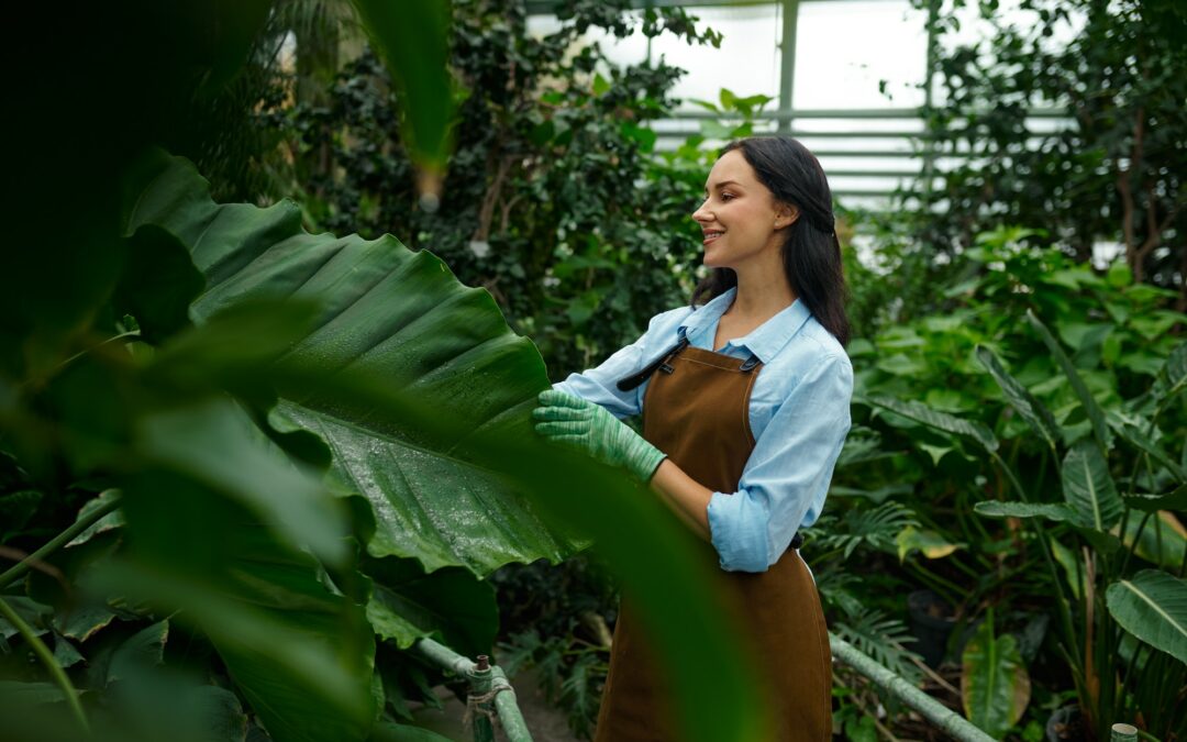 Booster votre créativité et votre estime de vous grâce au jardinage