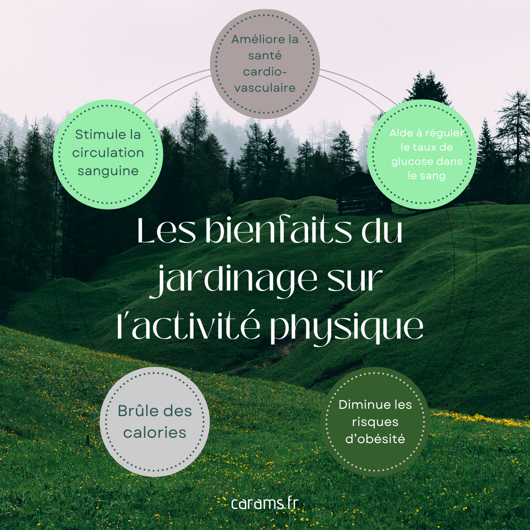 bienfait jardinage activite physique