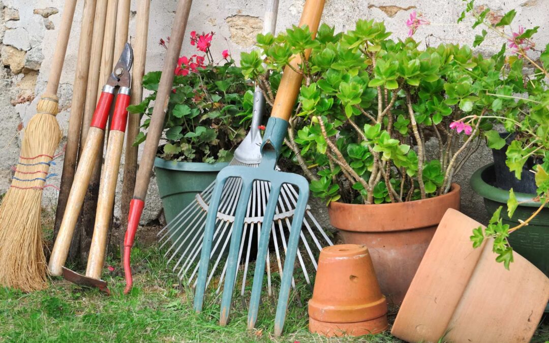 Conseils pour choisir les outils de jardinage parfaits chez Stihl